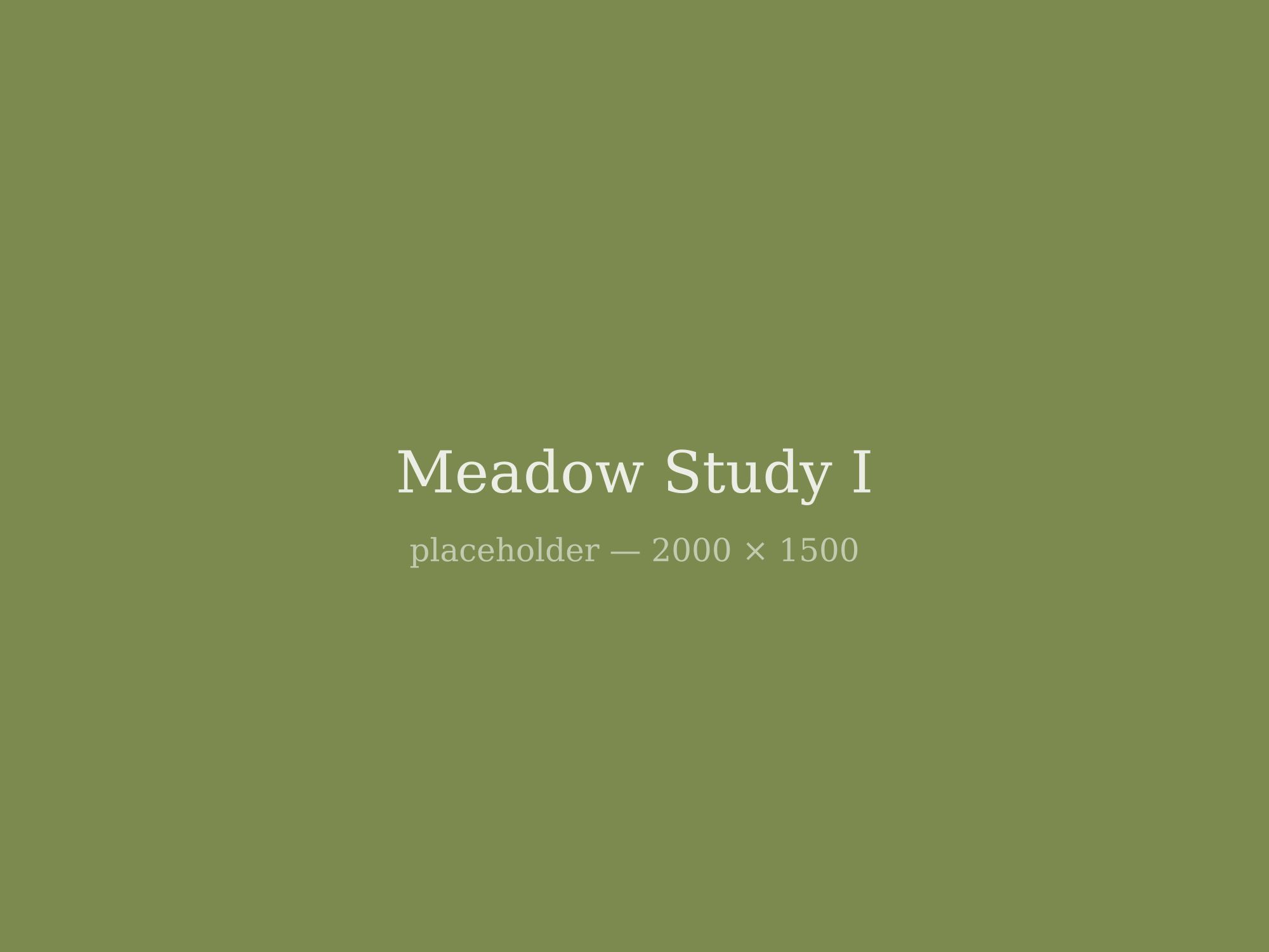 Meadow Study I