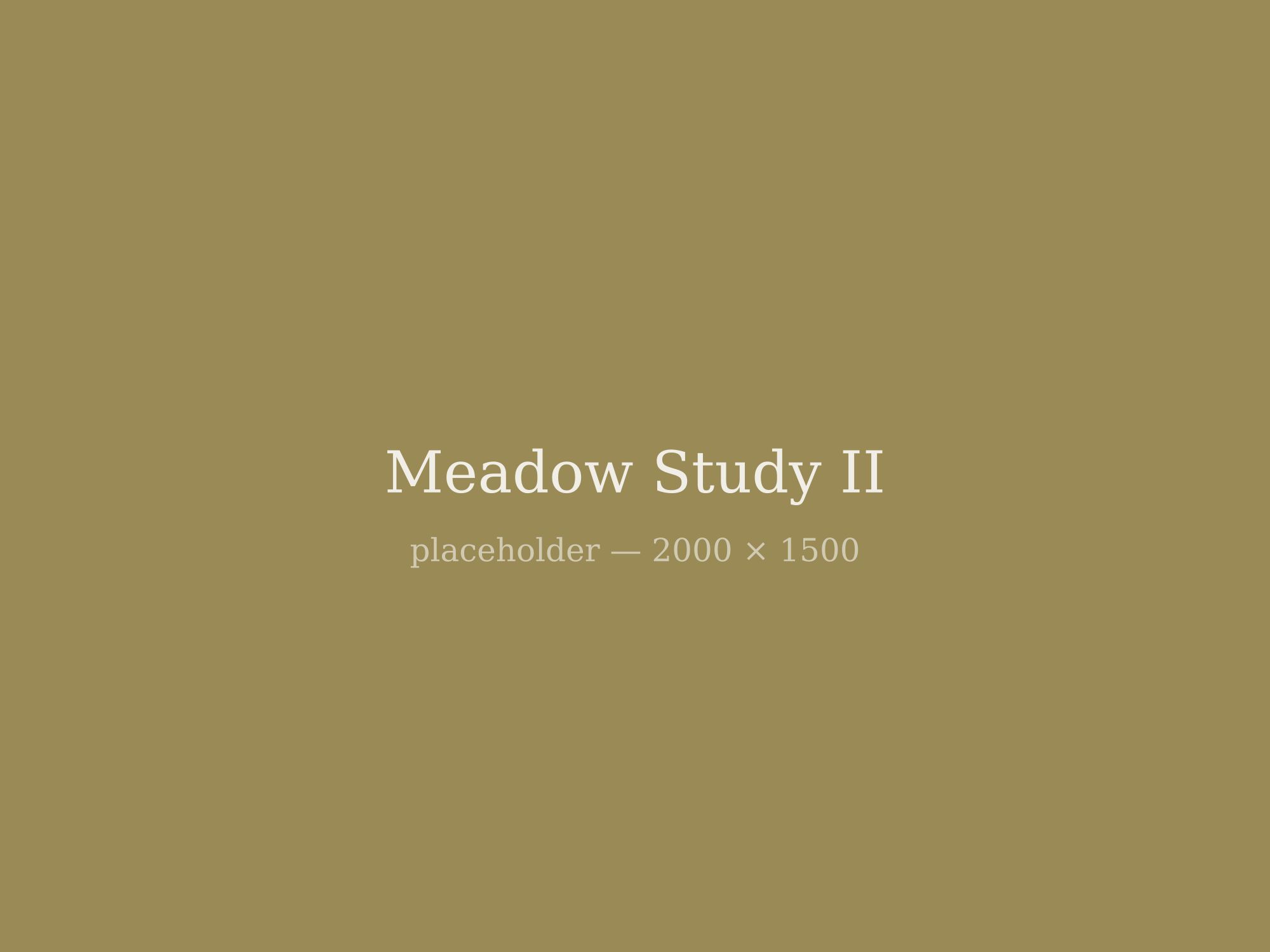 Meadow Study II